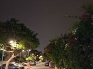 اللد: حالة من الخوف والرعب اثر اطلاق النار المتواصل 